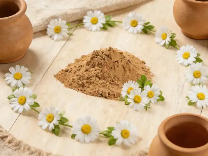 What Does Chamomile Extract Powder Do for the Body?